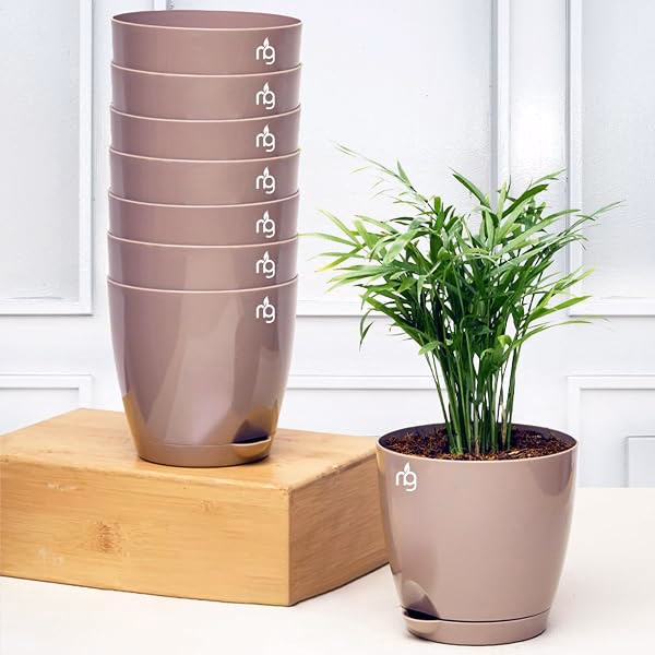 Plants and child-safe planters