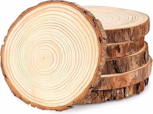 Smooth wood slices and twigs