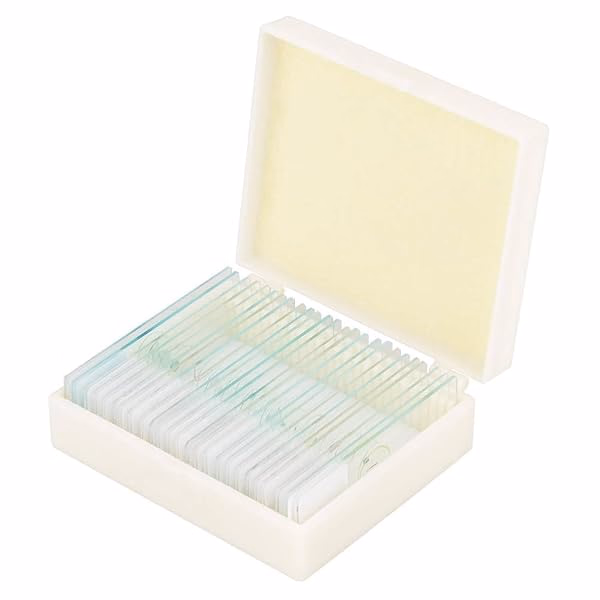 Plant, flower and leaf specimen sets