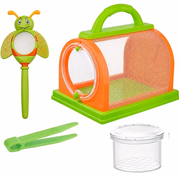 Ventilated insect observation containers